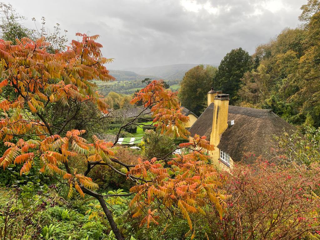 PeriwinkleCott1's tweet image. Well we’ve made it to the the final weekend of our 2020 season. It’s been such a bizarre year. Don’t really need to explain why. We have done our very best to create a #COVID19 safe environment that didn’t detract from our beautiful location and I think we may have just done it!