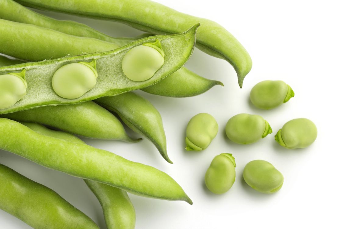 Fun Fact! Fava beans are rich in the amino acid L-DOPA; the precursor to the neurotransmitters dopamine, norepinephrine, and epinephrine. https://t.co/EAbmcnTZlU #brain #health #nutrition #funfact #fridayfunfact #aminoacid #nutritionaloutlook https://t.co/xBC442hFwT