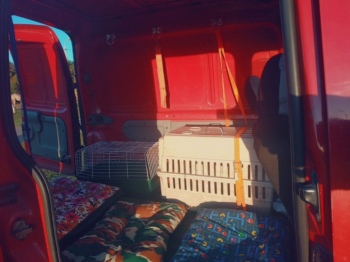 mdqmatias2's tweet photo. Si sos de MDQ o zona, me ayudás con un RT? Mi hermano puso todo lo que tenía para equipar una camioneta y hacer transporte de mascotas, pero por ahora va muy lento.
Si podes también con un follow en IG sería genial, quiero que le vaya bien! Gracias ❤️
https://t.co/Ddnv2wWQCI https://t.co/8M3IklzVnz