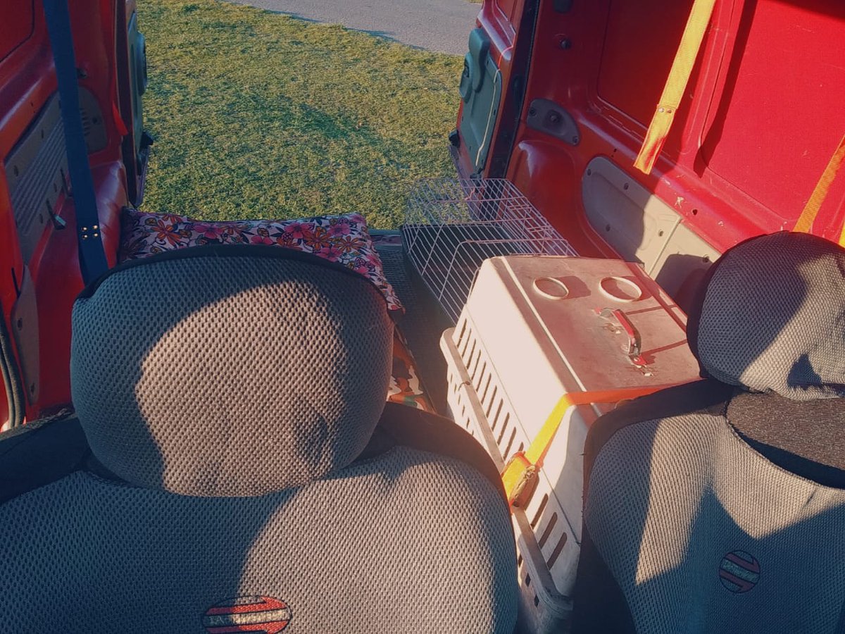 mdqmatias2's tweet photo. Si sos de MDQ o zona, me ayudás con un RT? Mi hermano puso todo lo que tenía para equipar una camioneta y hacer transporte de mascotas, pero por ahora va muy lento.
Si podes también con un follow en IG sería genial, quiero que le vaya bien! Gracias ❤️
https://t.co/Ddnv2wWQCI https://t.co/8M3IklzVnz