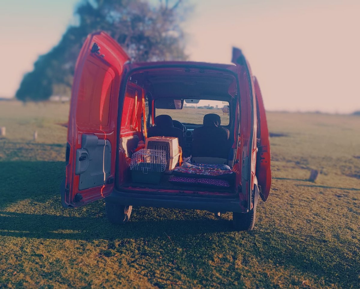mdqmatias2's tweet photo. Si sos de MDQ o zona, me ayudás con un RT? Mi hermano puso todo lo que tenía para equipar una camioneta y hacer transporte de mascotas, pero por ahora va muy lento.
Si podes también con un follow en IG sería genial, quiero que le vaya bien! Gracias ❤️
https://t.co/Ddnv2wWQCI https://t.co/8M3IklzVnz