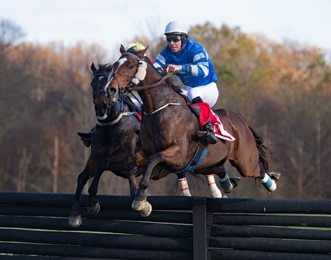 BloodHorse's tweet photo. First post for the Pennsylvania Hunt Cup Races is at 1:00 EST. Watch live at: https://t.co/Yc9bNVB1RX @JumpingwithNSA #JumpintoFall https://t.co/GWfxxTiJjf