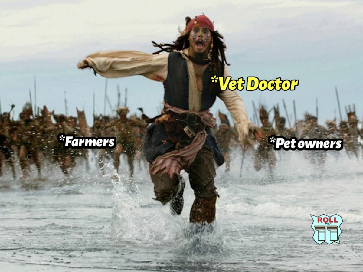 I_Rollno11's tweet photo. #veterinary #vet_doctors 🤣🤣🤣 https://t.co/bhDbgbQ6KA