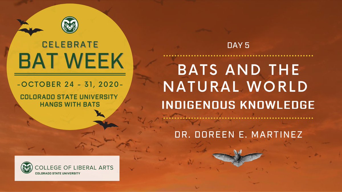 WarnerCollege's tweet photo. #BatWeek2020 Day 5 with Dr. Doreen E. Martinez, associate professor of Ethnic Studies in @CSULiberalArts who discusses the ties between #bats and #Indigenous knowledge. ⬇️Expand for more! #BatWeek #CSUhangswithbats https://t.co/HnrIUPg5R6
