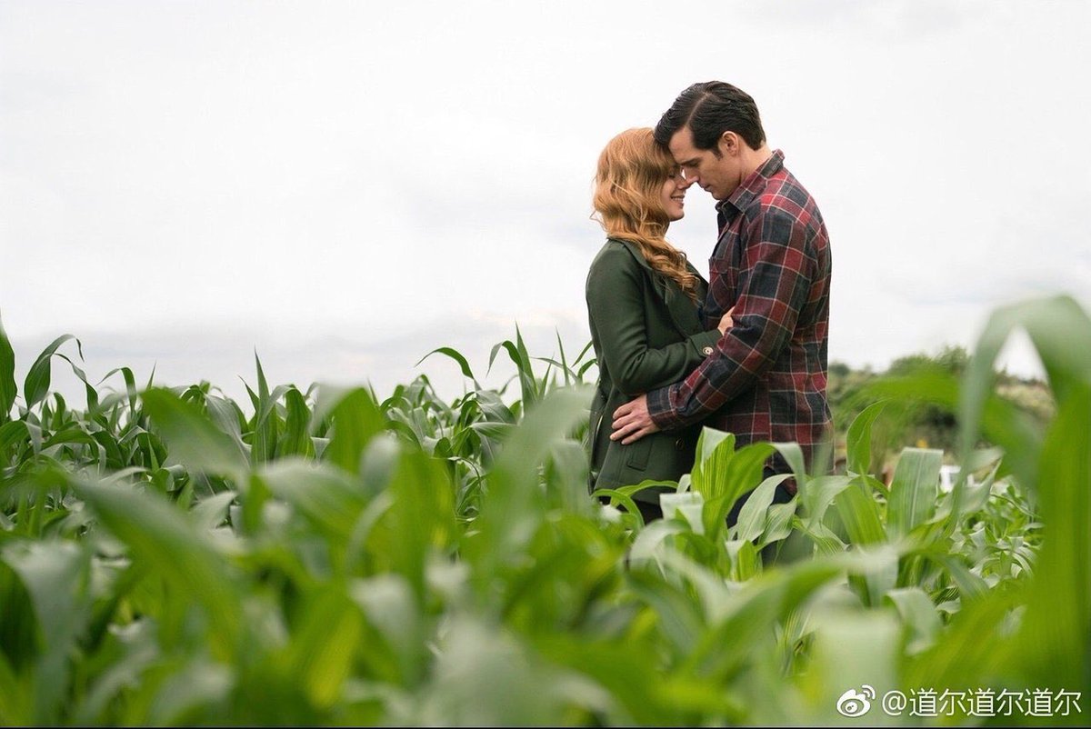 thebestofclois's tweet photo. “You are so many things to so many people. And there’s a side to you no one else sees. But I do. And I love you, Clark Kent.” - Lois Lane (Mysteries of Love in Space #1) https://t.co/ynvsZHFbmD