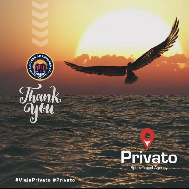 privatoplayer's tweet photo. Gracias @HalconesZapopan

Te deseamos mucho éxito en la temporada y te seguiremos apoyando como aficionados al futbol!

#Privato #ViajaPrivato #PoweredByPrato https://t.co/R4QcclUmCx