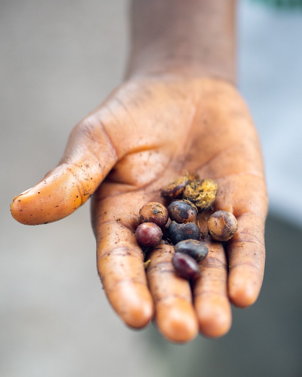 Did you know that “Pacha” means Earth? We don’t take our name lightly, which is why we use only the best, all natural &amp; sustainably sourced ingredients directly from the Earth in our products.