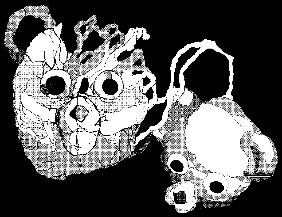_Salium's tweet photo. 2020 10 29 https://t.co/yievdk9IG6