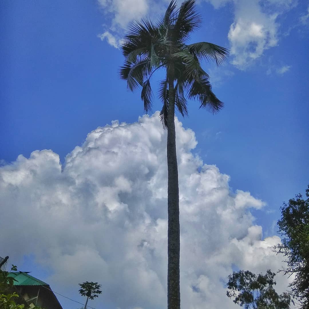 Talukder___'s tweet photo. দূরের আকাশ !!😍😍😍 https://t.co/dt50QPP0Yk