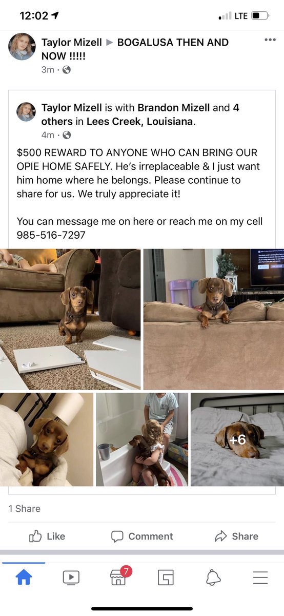 TaylorDearth's tweet photo. Posting everywhere at this point 💔 https://t.co/F8rNxMiYkx