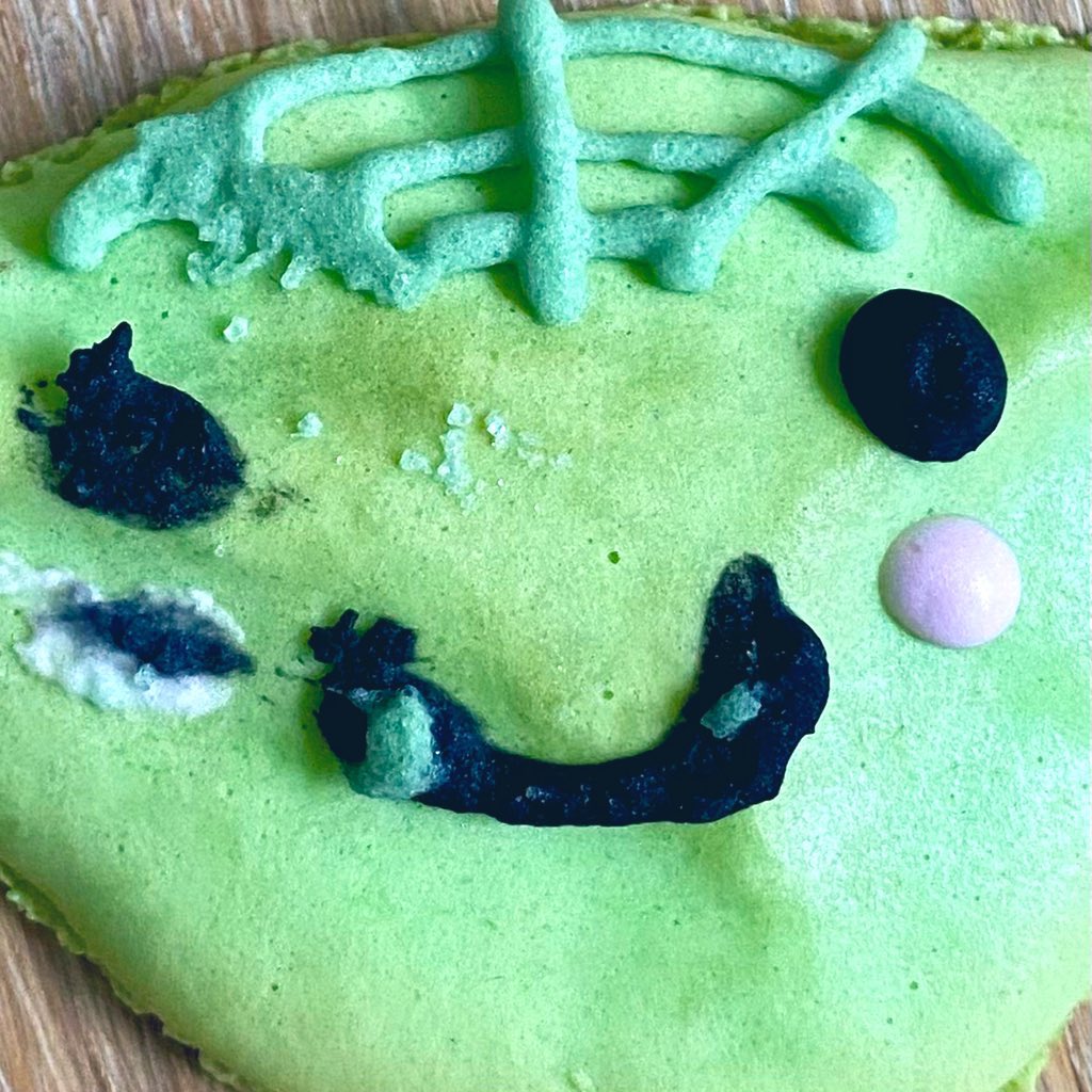 michael chakraverty 🍉 tweet media