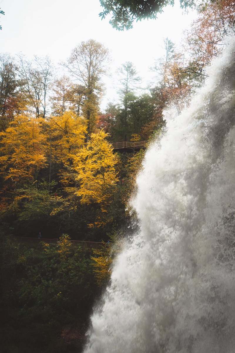 showupanywayy's tweet photo. the beauty of a waterfall is that it’s never silent— so why would you silence yourself? https://t.co/kxhLJIVaCh