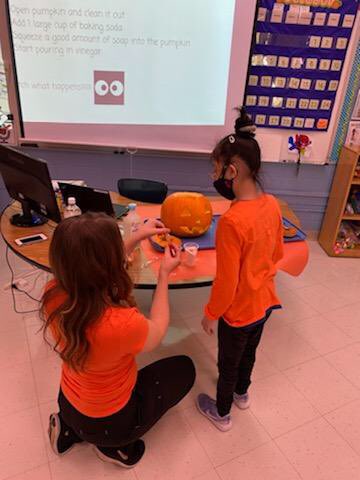 Jennifer Zanayed tweet media