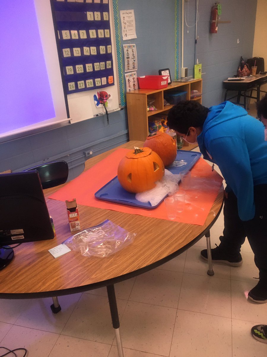 Jennifer Zanayed tweet media