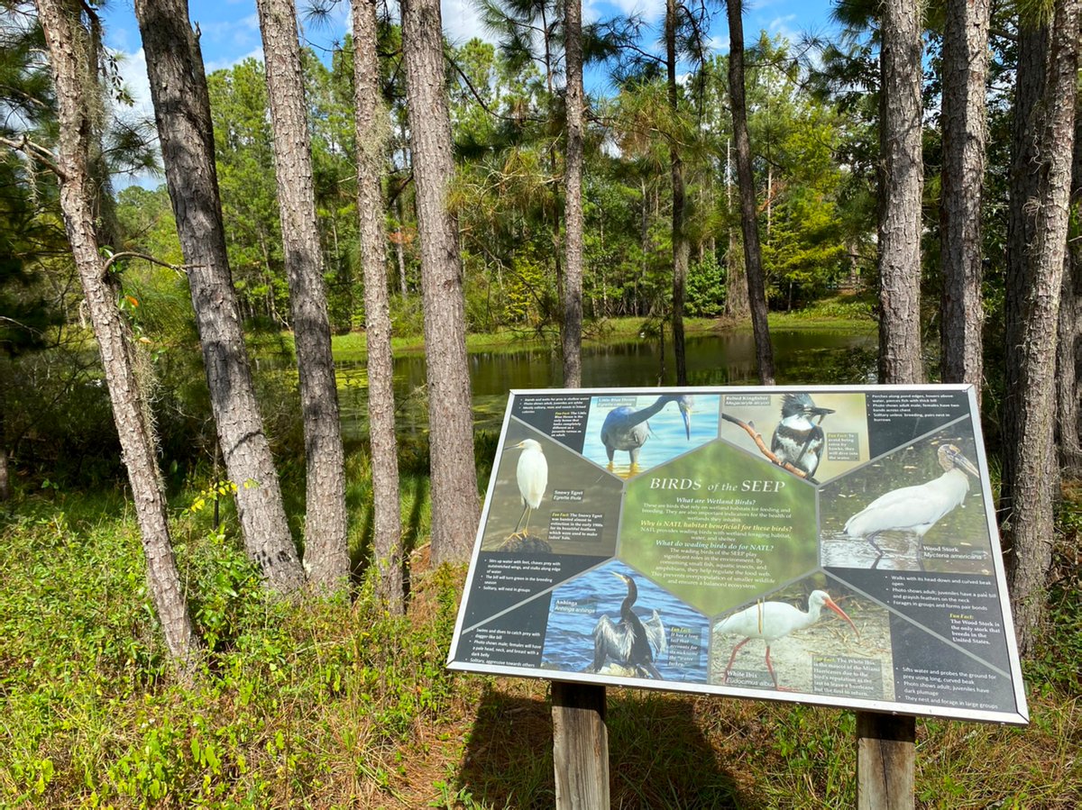 sustainableuf's tweet photo. It's true, being in nature can have significant positive impact on well-being. Take a #GlimpseIntoGainesville this week and explore one of the many #UFconservation areas, like the Natural Area Teaching Lab, with 4 trails & over 6 different ecosystems! https://t.co/8gFhhZrHIJ https://t.co/sjgwFAgziB
