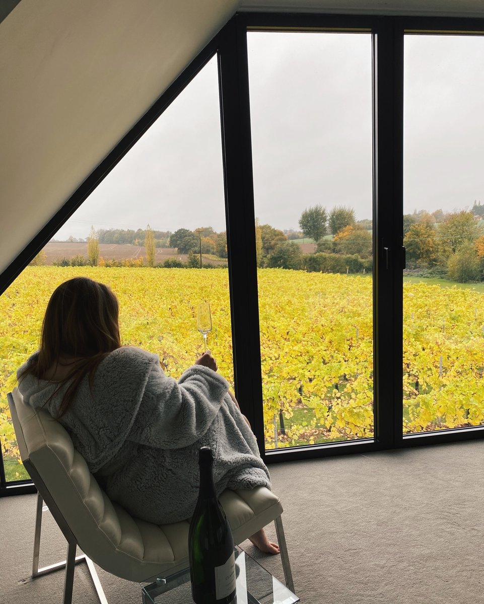 ER_Wines's tweet photo. Autumn colours in the vineyard 💛
.
https://t.co/B3BtZm5NHV
.
#wine #englishwine #englishsparklingwine #toppesfieldwine #toppesfield #toppesfieldvineyard #winesofinstagram #winesofengland #vineyardviews #englishwine #englishsparklingwine #winestagram #lifestooshorttodrinkbadwine https://t.co/cXztLmsQk0