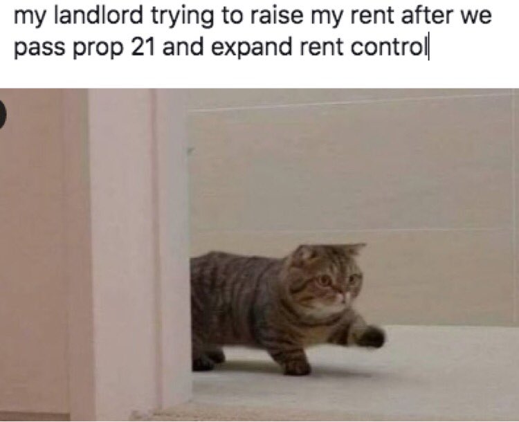 Strategic Actions for a Just Economy tweet media