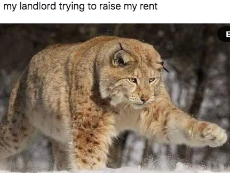 Strategic Actions for a Just Economy tweet media