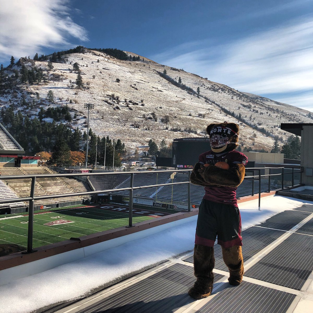 Monte Bear tweet media