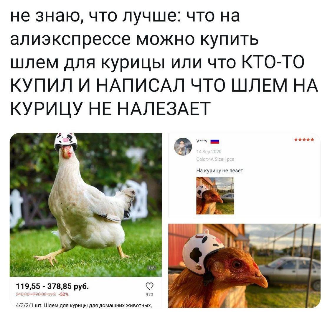 Шлем для курицы