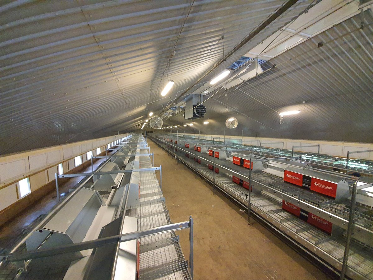 draperLAYERS tweet media