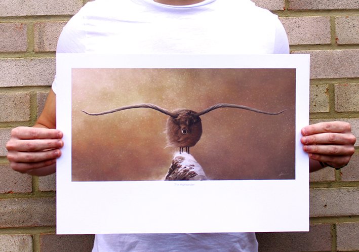 ‘The Highlander’ depicts a windswept Highland Cattle braving the elements in this atmospheric illustration. Limited edition print available now in my <a href="/Etsy/">Etsy</a> Shop etsy.com/uk/listing/884…
#highlander #LimitedEdition #artprint #illustration #highlandcattle