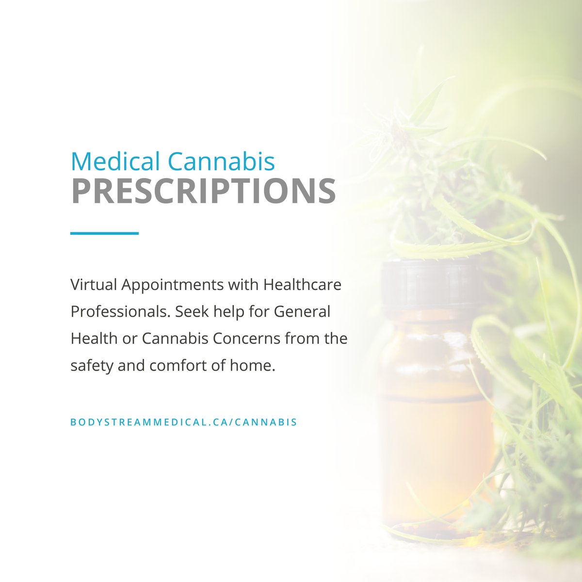 BodystreamMed's tweet image. Whether you are new to Medical Cannabis or an experienced patient our healthcare professionals can help you navigate the many questions you have and help you obtain a prescription for Medical Cannabis. #generalhealth #medicalclinic