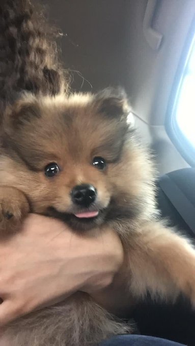 Buenos d&iacute;as pu&ntilde;etones. Tomen agua https://t.co/yzCpZ7E7aU