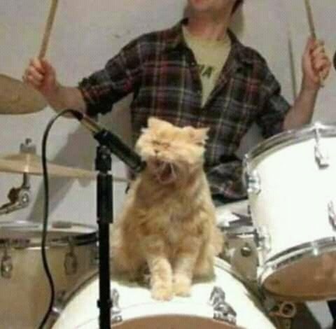 Zhurmavik's tweet photo. Rock for you soul.. 🤟 https://t.co/bmd1BjSnz0