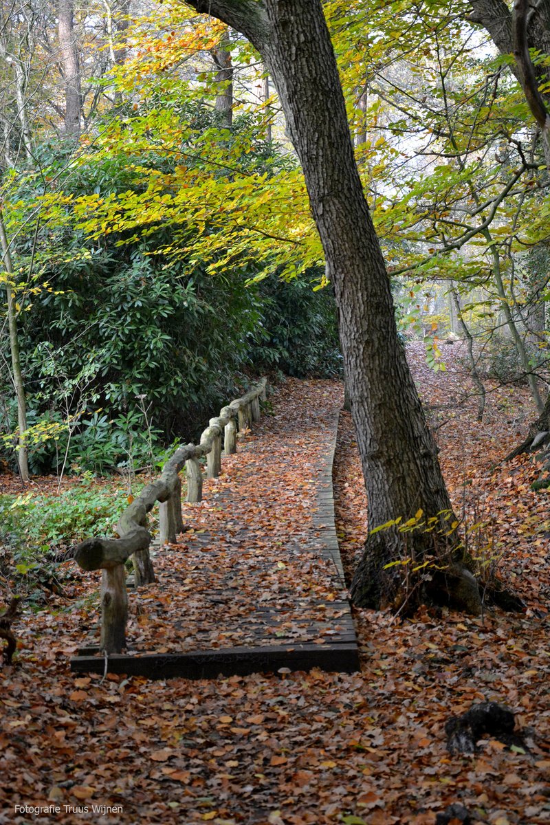 TruusWijnen's tweet photo. Wandeltip - Het Springendal  13 km
Fraaie herfstwandeling met start in Nutter. Door het bekende bronnengebied vh Springendal; een vd mooiste natuurgebieden van ons land. Ook ga je ‘over’n poal'.
Langs de Poasche-, Krösen- en Lönsberg
Info/route: https://t.co/tKSxykfdEC
#wanelen https://t.co/OGzmycOTvk
