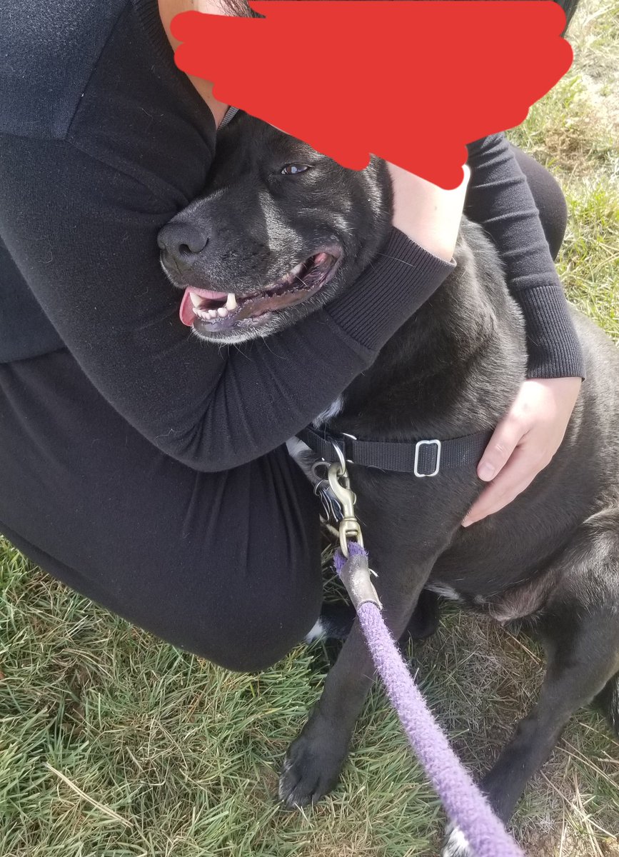 Hey all, 

We are still real short on bills this month, by a few hundres dollars. Were just trying to have a couple meals a day, keep a roof over our heads and the lights and heat on.

Please help if you can 💜