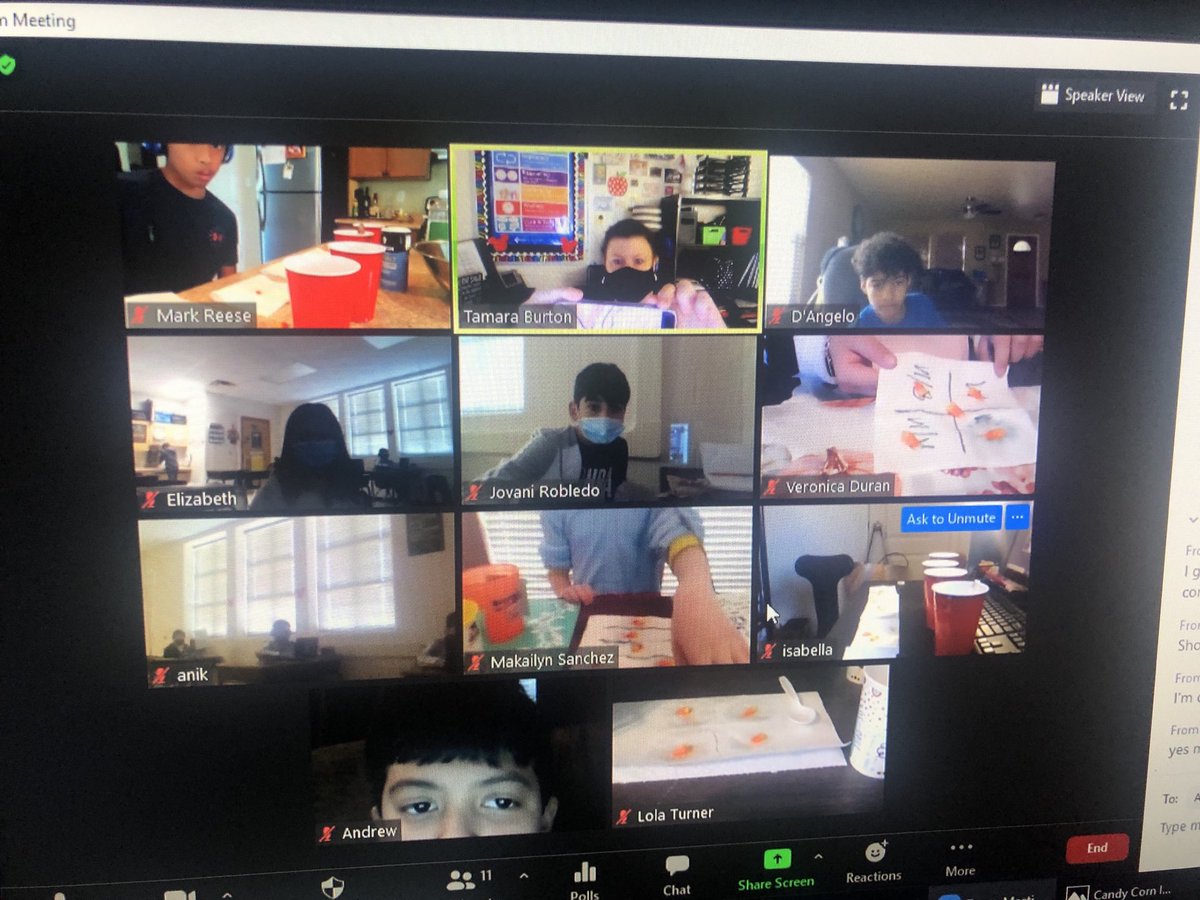 Burton5th's tweet photo. Candy Corn Investigation with In-person and Virtual students.  All of the students loved it.  ⁦@NISDElemScience⁩ ⁦@WardWranglers⁩ ⁦@sundaydnelson⁩ https://t.co/E3jMn5vsWX
