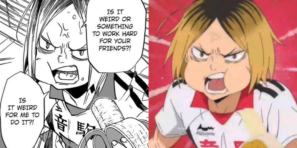 NEKOMA STANS HOW ARE WE FEELING RN 