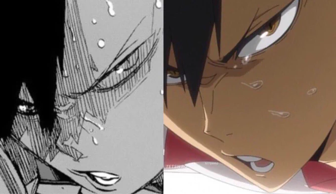 NEKOMA STANS HOW ARE WE FEELING RN 