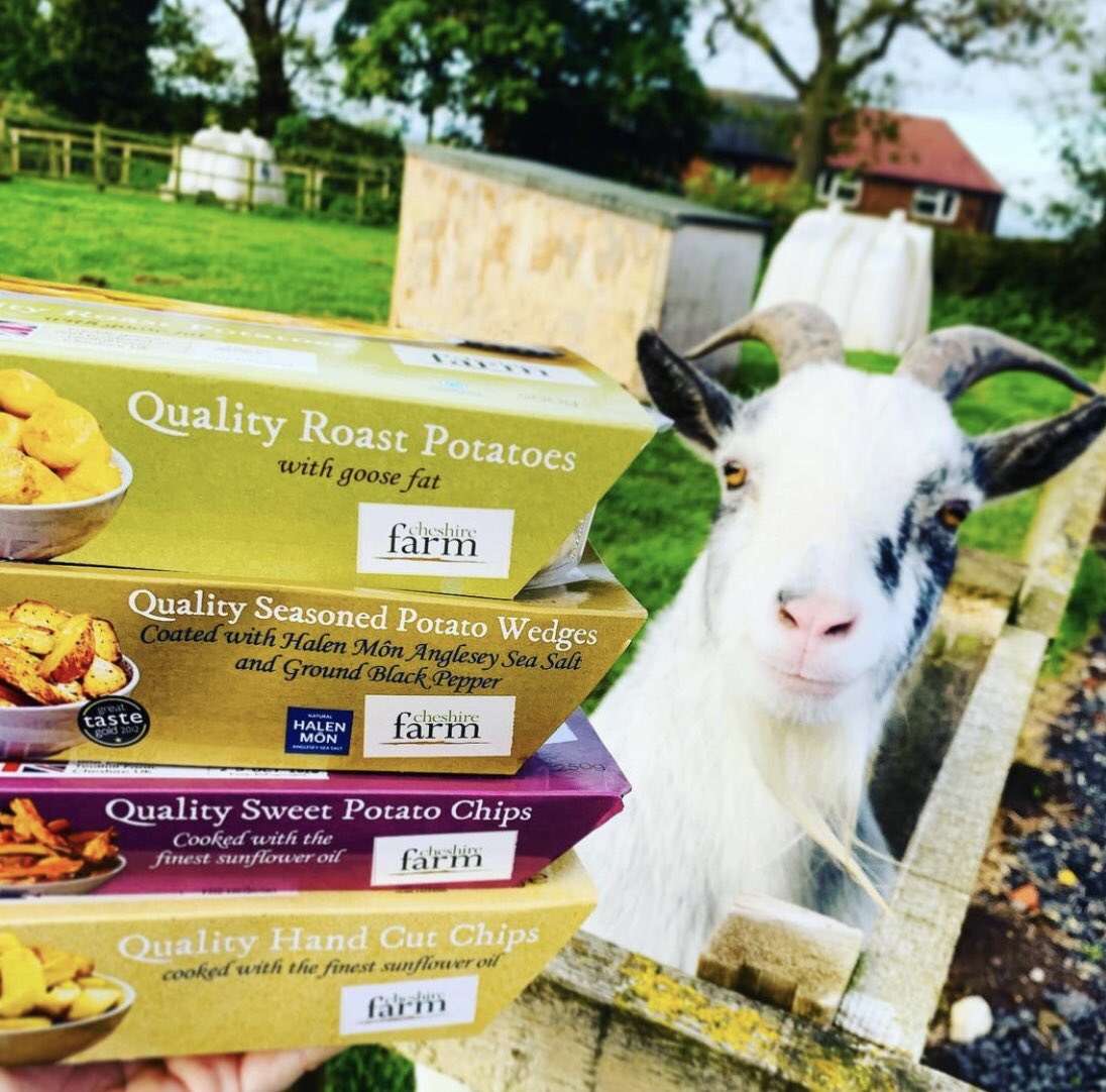 cheshirefarm's tweet photo. 🐏 HAPPY FRIDAY! 🐏⁣
⁣
We love this photo from our fantastic @cheshirefarm stockist, Rose Farm Shop!
⁣
To grab a box of what takes your fancy, visit here now👇⁣
⁣
https://t.co/N2EuVRDWXd 🖥⁣
01928 725038 📞⁣
⁣
#DeliveryToYourDoor #RoseFarmShop #OnlyTheBest #CheshireFarm https://t.co/9C3QFBEPGL