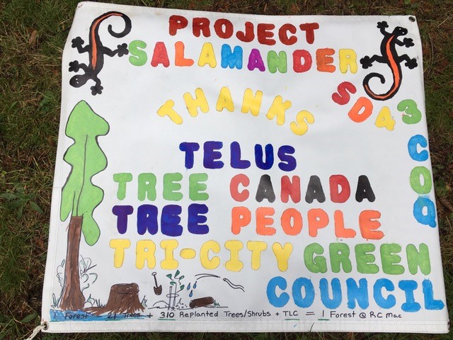 RCMacDonaldSD43's tweet photo. Thank you Trustee Barb Hobson for visiting Project Salamander 2.0. This project is made possible by funding from @TreeCanada and @TELUS @b_hobson @sd43bc https://t.co/FyWgTeLPdE