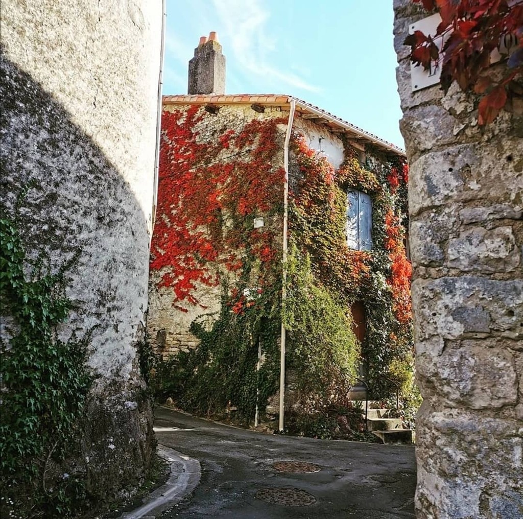 igersNiort's tweet photo. Bonsoir amis #igers, 
Merci @mrpatate15 pour cette découverte d'exoudun et ce partage avec les tags  #deuxsevresdecouverte et/ou #deuxsevres
N'hésitez pas à aller voir son compte. 
•A bientôt pour une nouvelle découverte et bon weekend, @etod79 
•#ig… https://t.co/rnw2GBGQul https://t.co/ihtapsQRdj