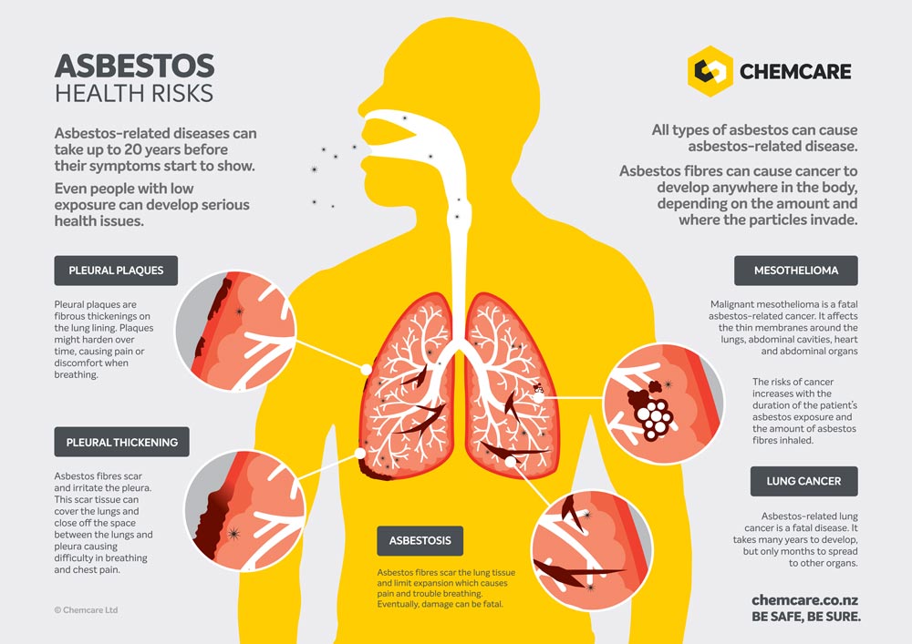 OnCommandRestor's tweet image. Asbestos exposure is a serious threat to your health! There is no safe level of exposure. That's why our teams are fully trained in the safe removal and disposal of asbestos containing materials. 
Give us a call today to find out more and get a free quote (604) 445 -2726.