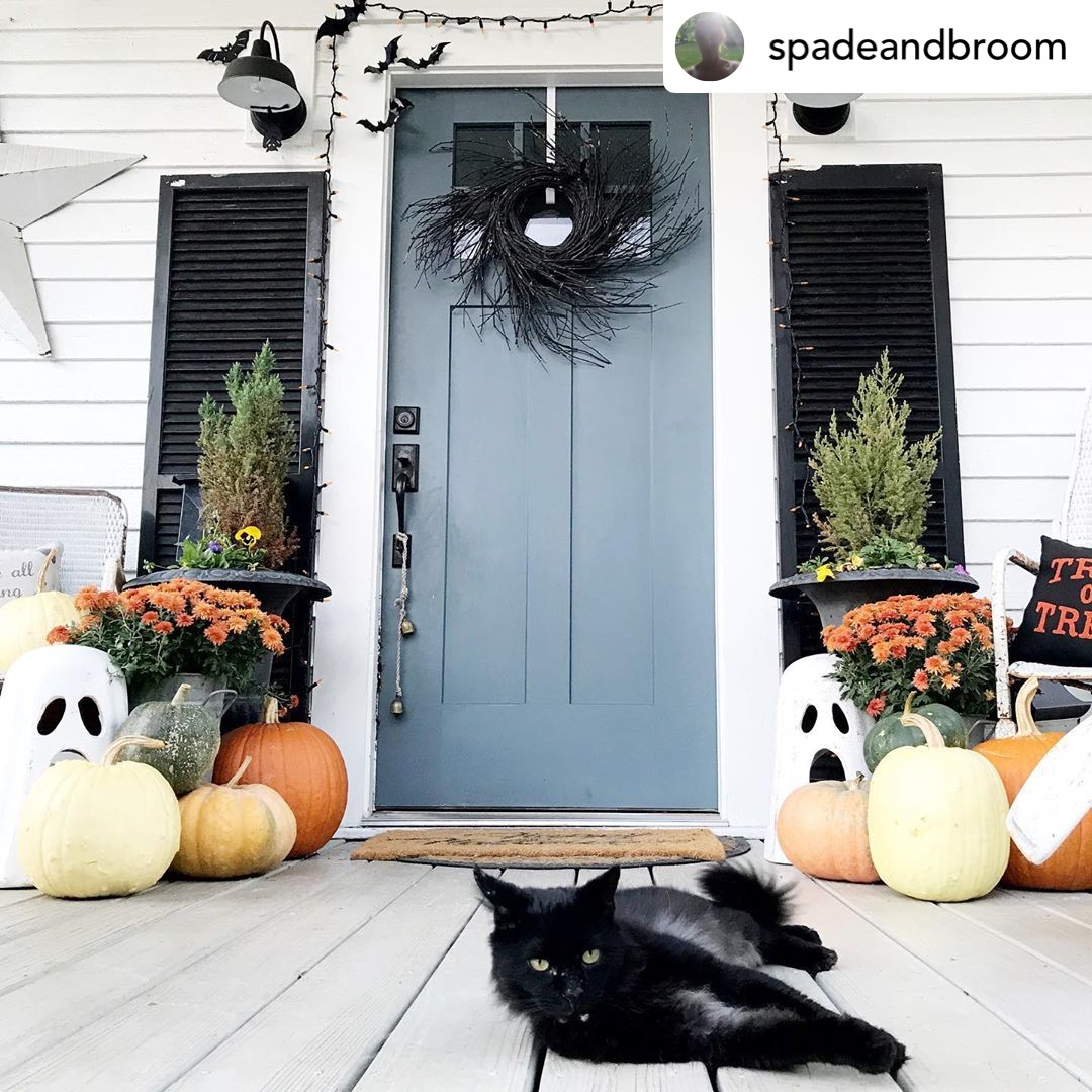 bhsseakenn's tweet photo. Spooky season is upon us. How are you decorating this year? https://t.co/DzylcOLj5I