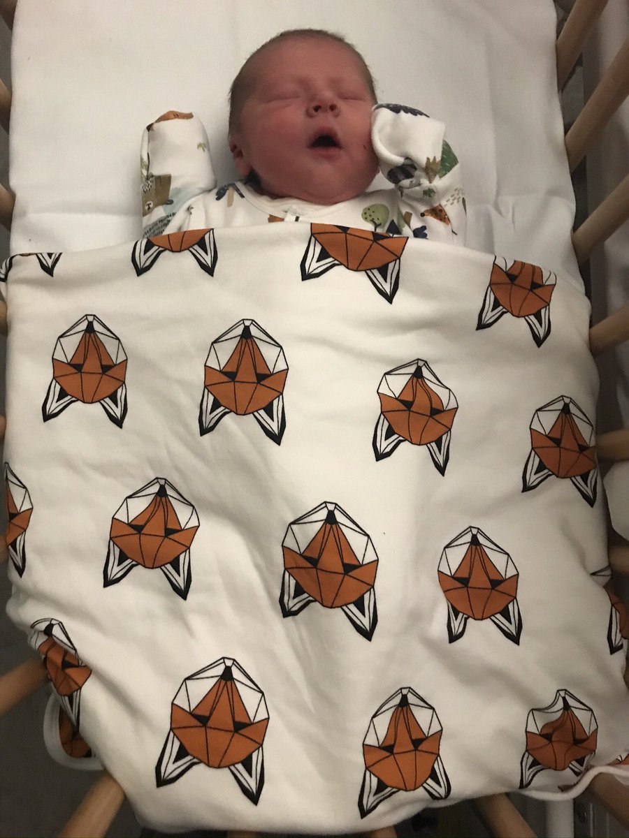 Alex Favier (né Miles) tweet media