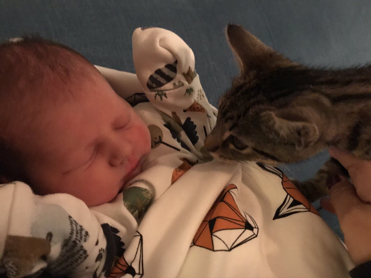 Alex Favier (né Miles) tweet media