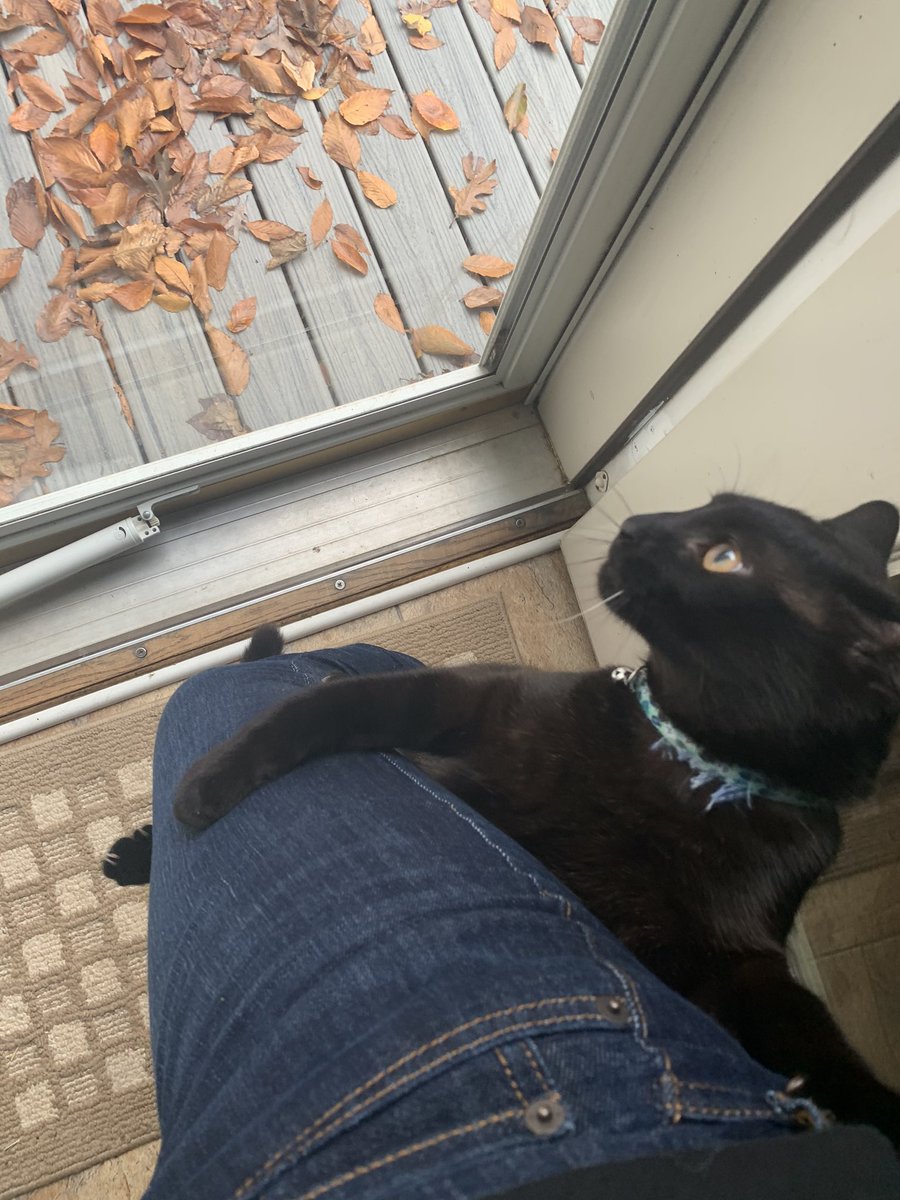 jnwolfe2000's tweet photo. I just tried leaving my house but someone didn’t want me to go https://t.co/XyaloaubmF