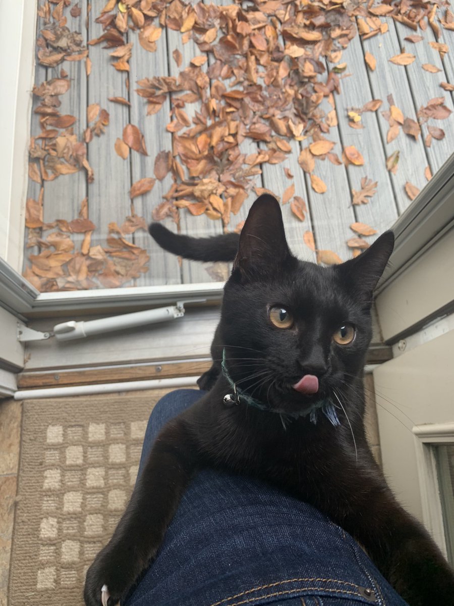 jnwolfe2000's tweet photo. I just tried leaving my house but someone didn’t want me to go https://t.co/XyaloaubmF