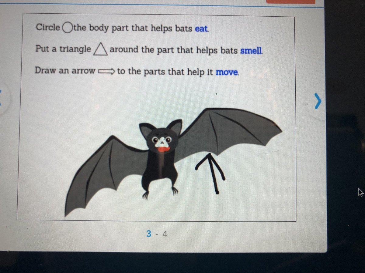 analee_spray's tweet photo. Another super fun and engaging @nearpod lesson created by @RomoSteamTeam 🦇 #FirstGradeLoves #BoulderRidgeRocks #Bats https://t.co/l0Oivouhly