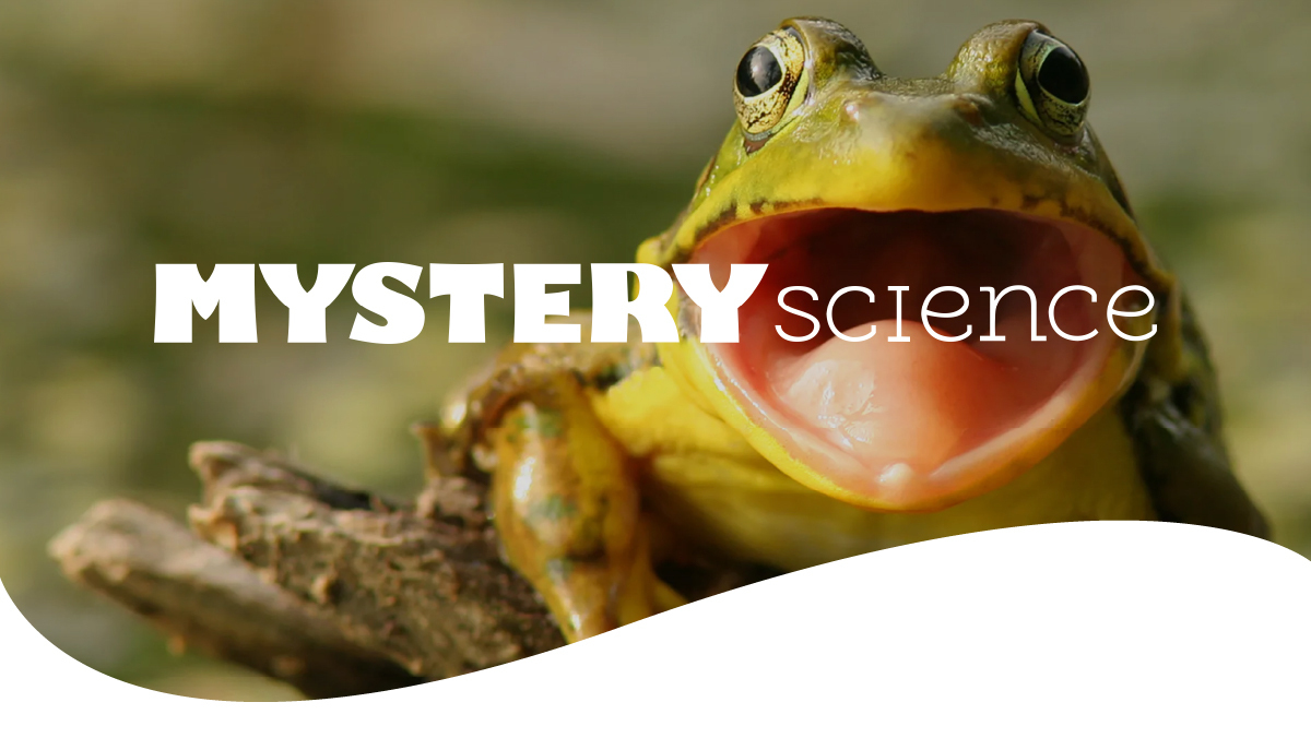 We’re excited to announce that the popular K-5 science curriculum, @mysterysci, is joining the Discovery Education family! Read more about our newest acquisition and our shared commitment to keeping students and teachers connected to curiosity: bit.ly/3ebfA7w