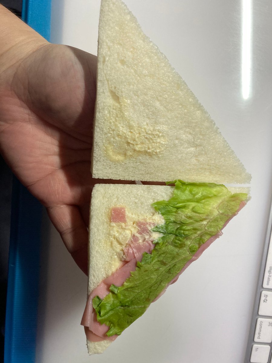 竹山祐右 はやめブラストギア 全８巻発売中 ここ最近コンビニの弁当の容器かさ増し や サンドイッチの具の少なさに思う所もあり 本当に忙しい時以外はなるべく買わず基本自炊にしたら食費がかなり浮いてきました 世の中悪いことばかりでもないね