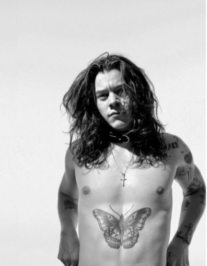 there are also many photographs of harry that are reminiscent of Mapplethorpe's pictures, particularly the beauty papers shoot and the another man shoot.