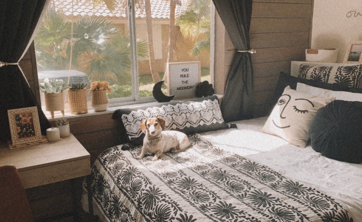 emilycasmakeup's tweet photo. boho room redo 🖤🖤🖤 https://t.co/v69xQwRx4v