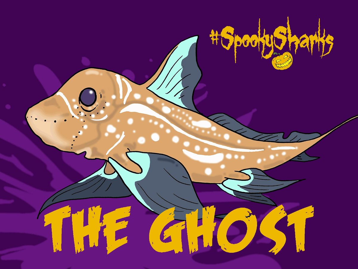 LivingWorldEdu's tweet photo. Seeing as it's #InternationalGhostSharkDay you may like to check out our #SpookySharks! https://t.co/Ljl9edhp1X