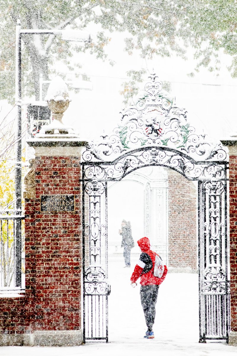 Harvard University tweet media